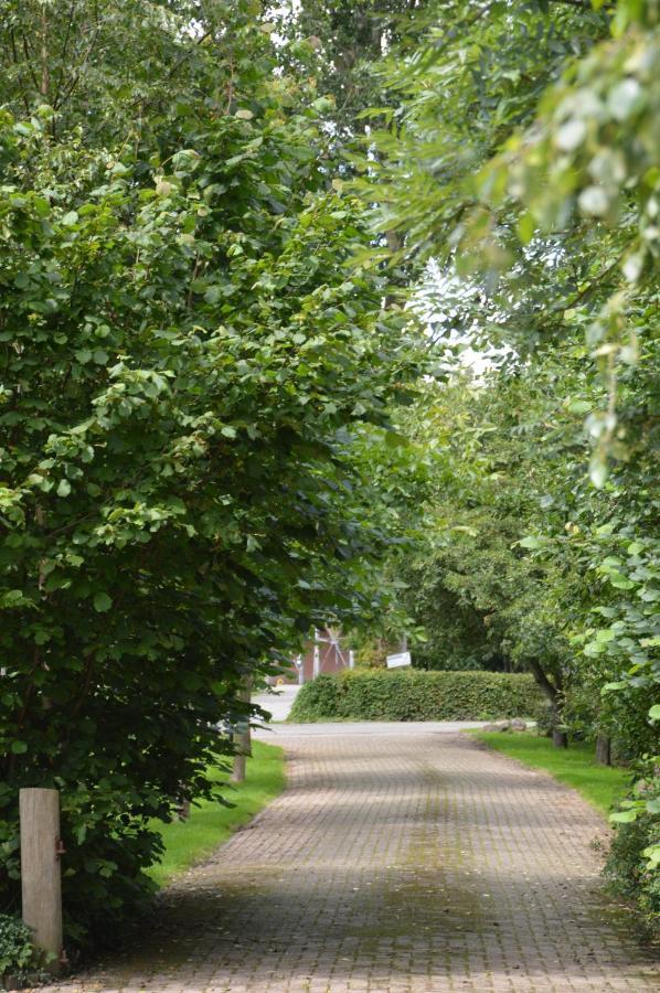 Bij Ons Op 20 Bed & Breakfast Nijeveen Exterior photo